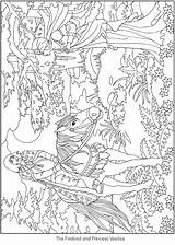 Welcome To Dover Publications  Coloring Home sketch template