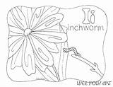 Inchworm Coloring Page At GetColoringscom  Free Printable Colorings sketch template