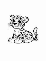 Jaguar coloring pages sketch template