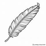 Feather Coloring Pages  Free & Printable sketch template