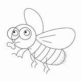 Jazz Fly Coloring Page Sketch sketch template