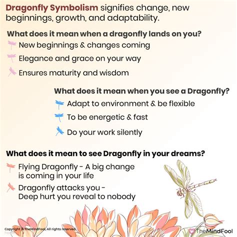 Dragonfly Meaning | Dragonfly Symbolism | Dragonfly Spiritual Meaning