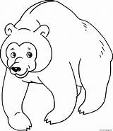 Printable Brown Bear Coloring Pages sketch template