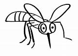 Mosquito Clipart Drawing Transparent FREE For  sketch template