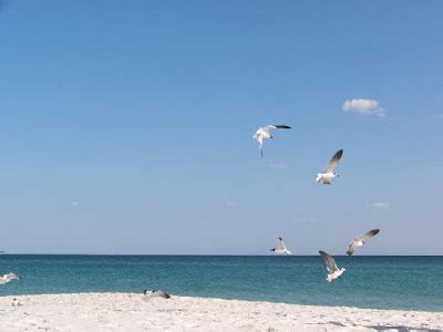 Perdido Key Florida Beach Pictures | United States Beaches