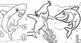 25 Free Shark Coloring Pages For Kids And Adults sketch template