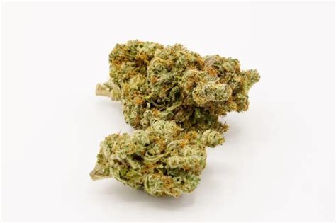 Cannabis Strain Guide: Favorite Strains Overview and Reviews