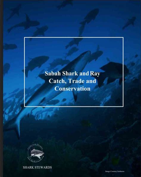 Saving Sharks in the Coral Triangle – Shark Stewards