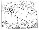 Printable Dinosaur Coloring Sheets sketch template