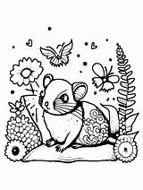 Cute Mouse Coloring Book With Flowers · Creative Fabrica sketch template