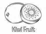30  Kiwi Fruit Coloring Pages Free Printable PDF & Online sketch template