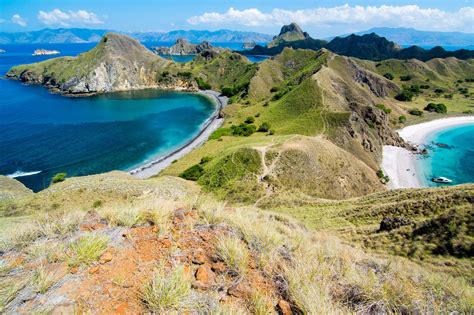 Komodo National Park, the last vestige of a Jurassic World of Wonders