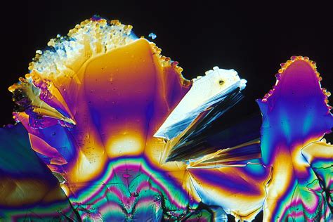 ddA | AV-8702-3194 NCI : Shown are polarized crystals photog… | Flickr