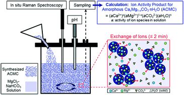 Solubility investigations in the amorphous calcium magnesium carbonate ...