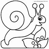 Snail Coloring Pages Escargot Snails Kids Coloriage Para Color Sea  sketch template