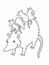 Opossum Family coloring Page sketch template