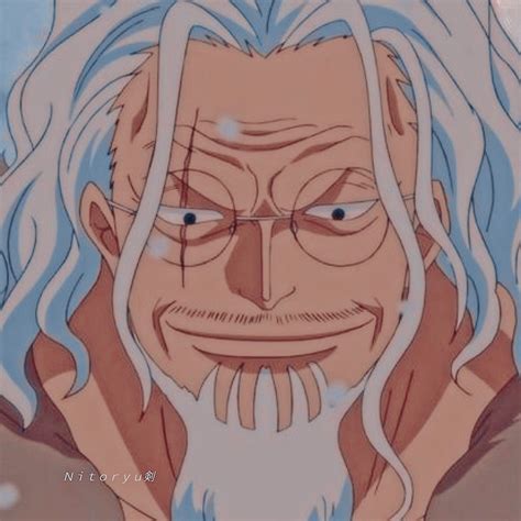 Rayleigh - One piece | One piece anime, Character design male ...