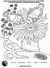 Printable Coral Reef Coloring Pages sketch template