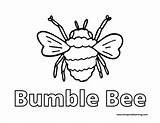 Bumblebee And Flower Coloring Page sketch template