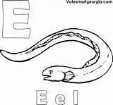 Free Eel Coloring Pages PDF  Coloringfoldercom sketch template