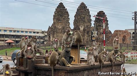 Day Trip to Lopburi – Home of the Monkeys – Richard Barrow's Thai Train ...