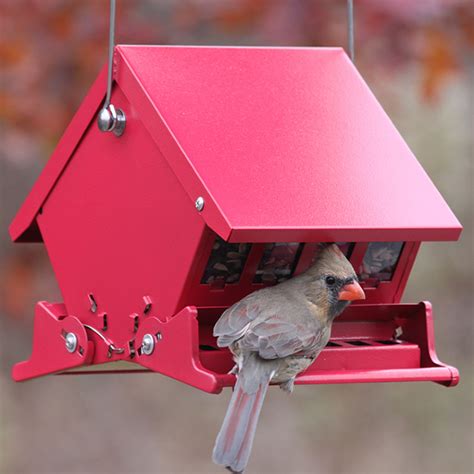 Duncraft.com: Mini Absolute II Bird Feeder