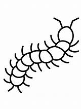 Centipede Coloring Pages  Lol sketch template