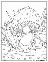Free MUSHROOM Coloring Pages & Book For Download Printable PDF  VerbNow sketch template