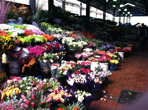 The Flower Market, downtown Cape Town, South Africa | Flower market ...