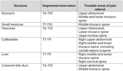 Referred Pain Thoracic Spine | Visceral Referred Pain Screening