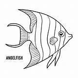 Premium Vector  Coloring Book For Children angelfish sketch template