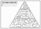 Food Chain Pyramid Coloring Sheet Pages sketch template