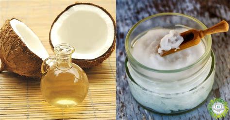 12 beneficios del aceite de coco para la piel » El Horticultor