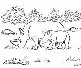 Rhino Coloring Pages sketch template