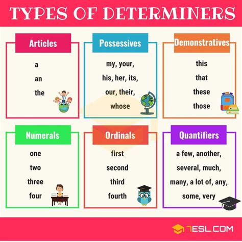 Determiners: Essential Guide for English Learners • 7ESL