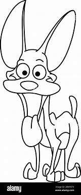 Outlined Happy miniature pinscher dog Vector Line Art Illustration  sketch template