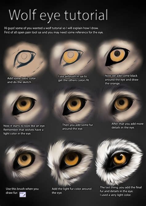 an owl's eye is shown with different types of eyes and their features in it