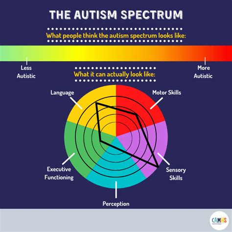 THE AUTISM SPECTRUM? – CAMHS Professionals