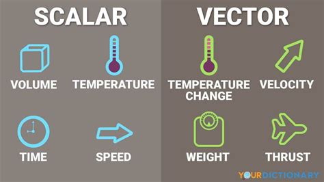 Examples of Vector and Scalar Quantity in Physics | YourDictionary