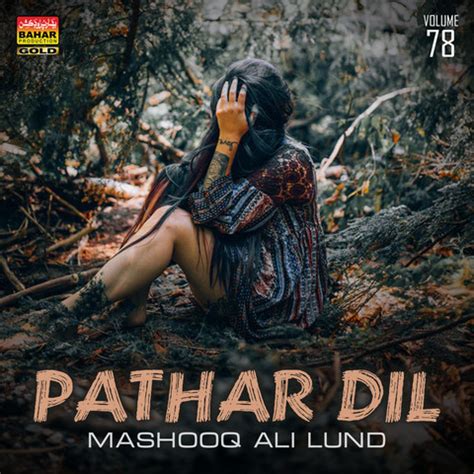 Pathar Dil Songs Download: Pathar Dil MP3 Sindhi Songs Online Free on Gaana.com