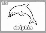 Dive Into Fun With Printable Dolphin Coloring Pages sketch template