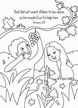 Bible Story Adam Pictures Coloring Pages  Home sketch template