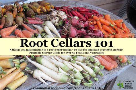 Root Cellars 101- Root Cellar Design, Use and Mistakes to Avoid