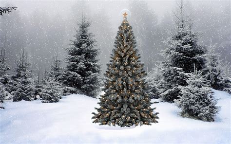 Christmas Snow Scene Wallpapers - Wallpaper Cave