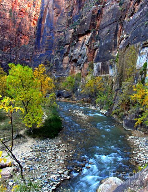 Utah Zion Mountains Canyons and Rivers Photograph by Charlene Cox - Pixels