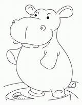 Hippo Coloring Pages  Nation sketch template