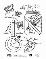 Pill Bug Coloring Pages sketch template