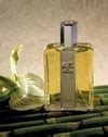 Chanel Coco Noir : Perfume Review « Bois de Jasmin
