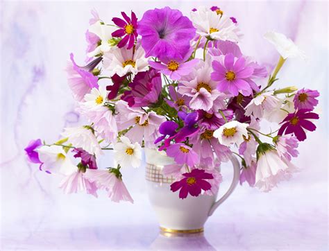 Wallpaper Bouquets Flowers Petunia Cosmos plant Vase