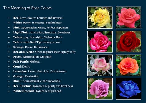 Get Ready for Valentine's Day - The Meaning of Rose Colors